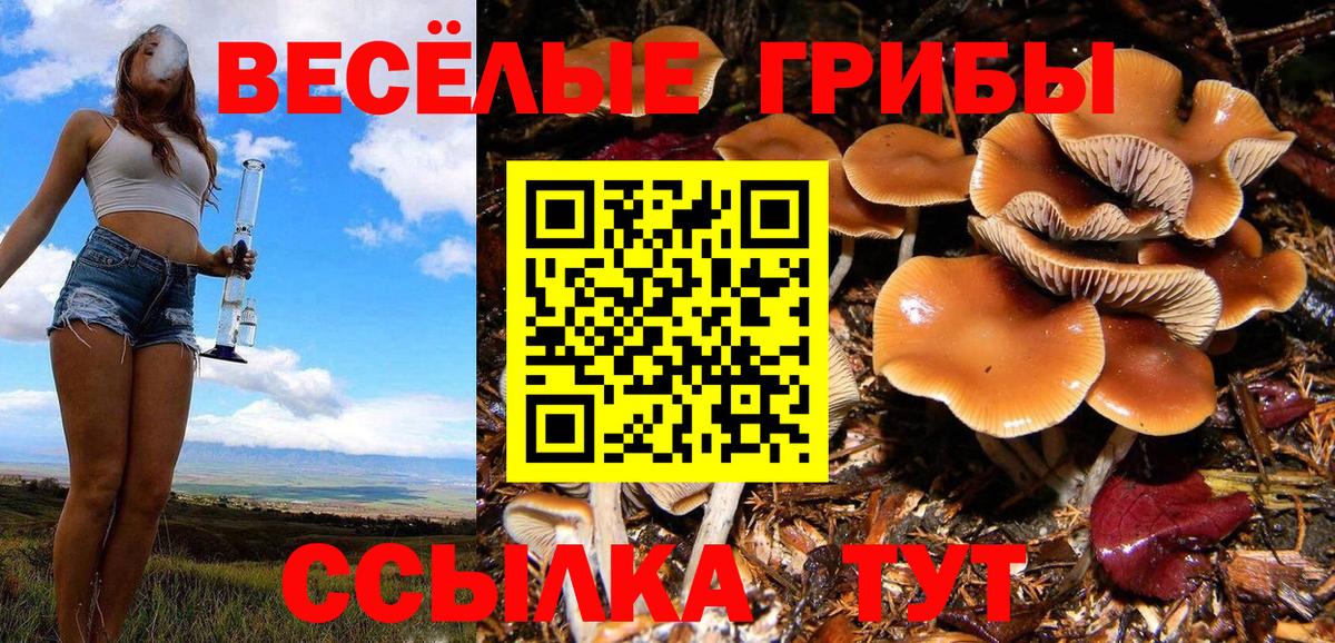 Псилоцибиновые грибы мицелий Стрежевой
