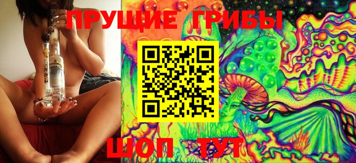 Псилоцибиновые грибы GOLDEN TEACHER  Вход с VPN  Стрежевой  Псилоцибиновые грибы MAGIC MUSHROOMS 